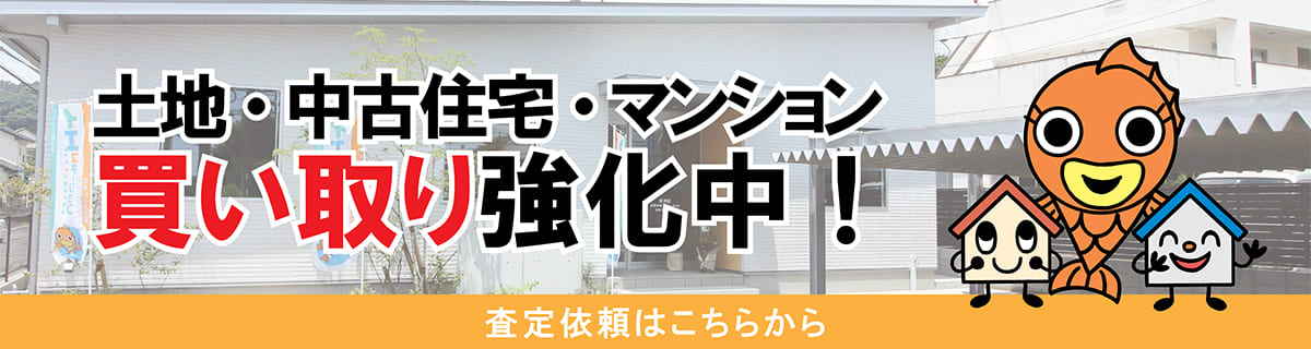 買い取り強化中